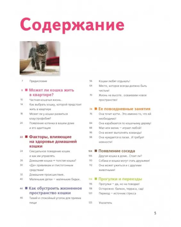 Счастливая кошка у вас дома. Здоровье, среда обитания, повседневные занятия...