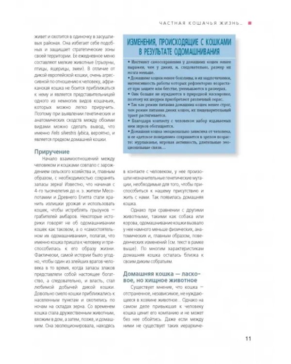 Счастливая кошка у вас дома. Здоровье, среда обитания, повседневные занятия...