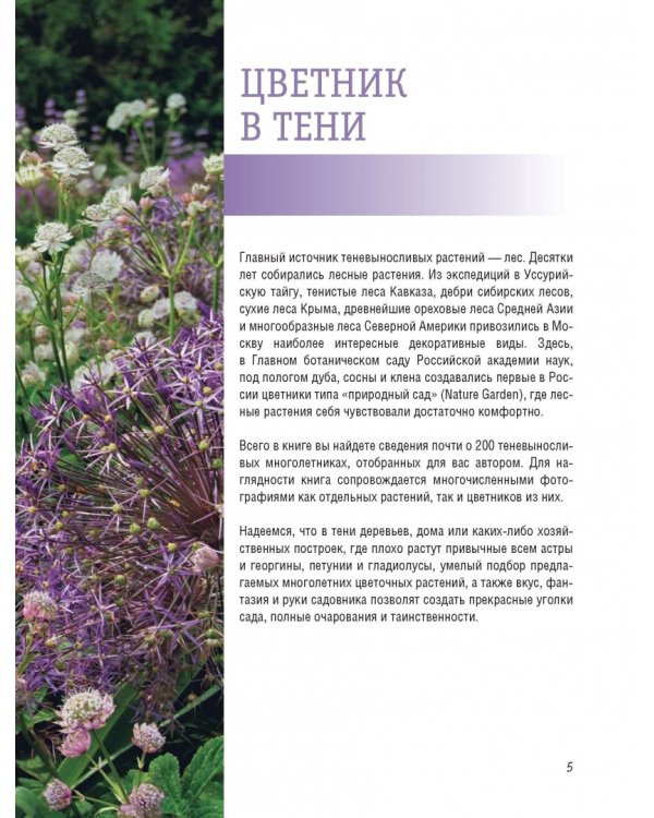 Стильный цветник. Популярная энциклопедия