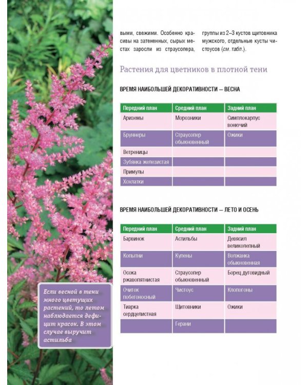 Стильный цветник. Популярная энциклопедия