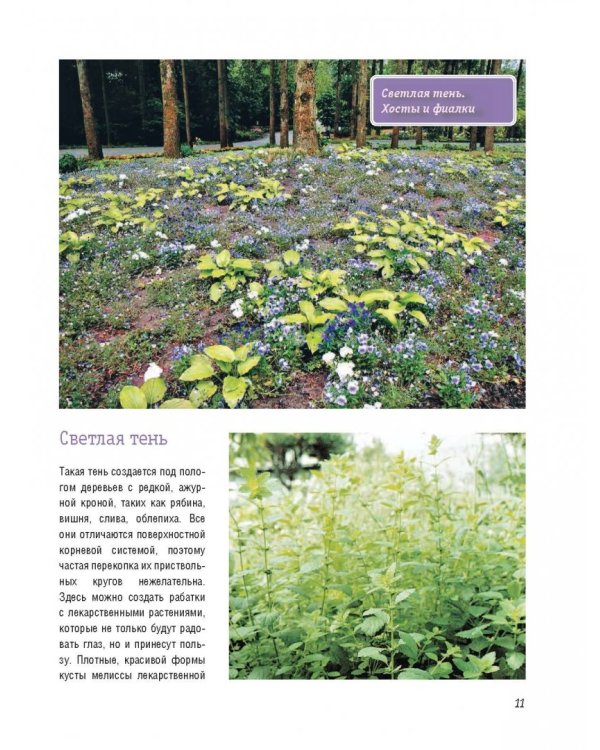 Стильный цветник. Популярная энциклопедия