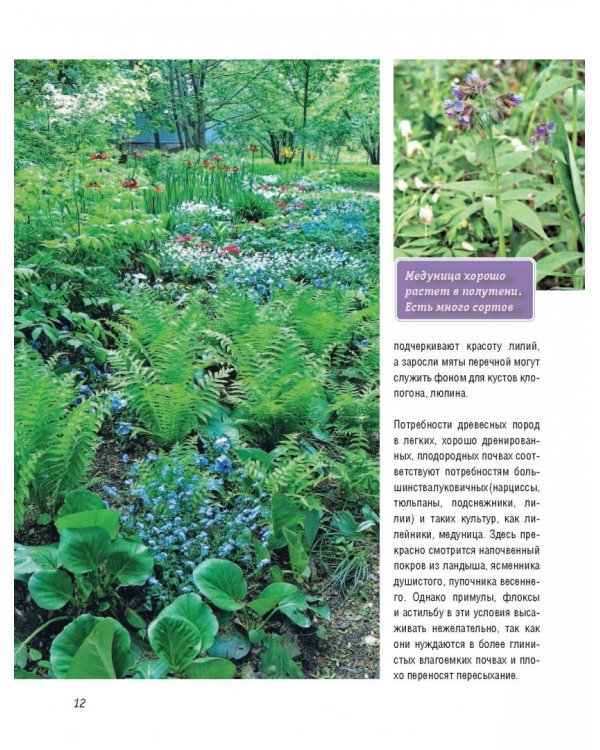 Стильный цветник. Популярная энциклопедия