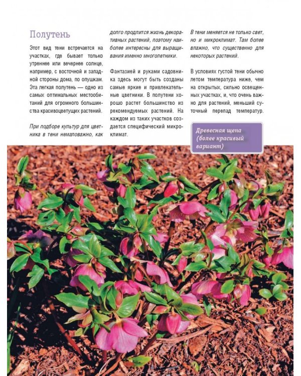 Стильный цветник. Популярная энциклопедия