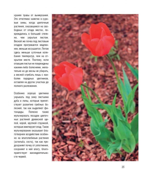 Стильный цветник. Популярная энциклопедия