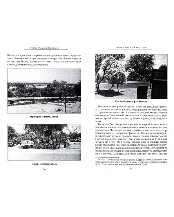 Жизнь врача посольства