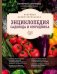 Новейшая иллюстрированная энциклопедия садовода и огородника