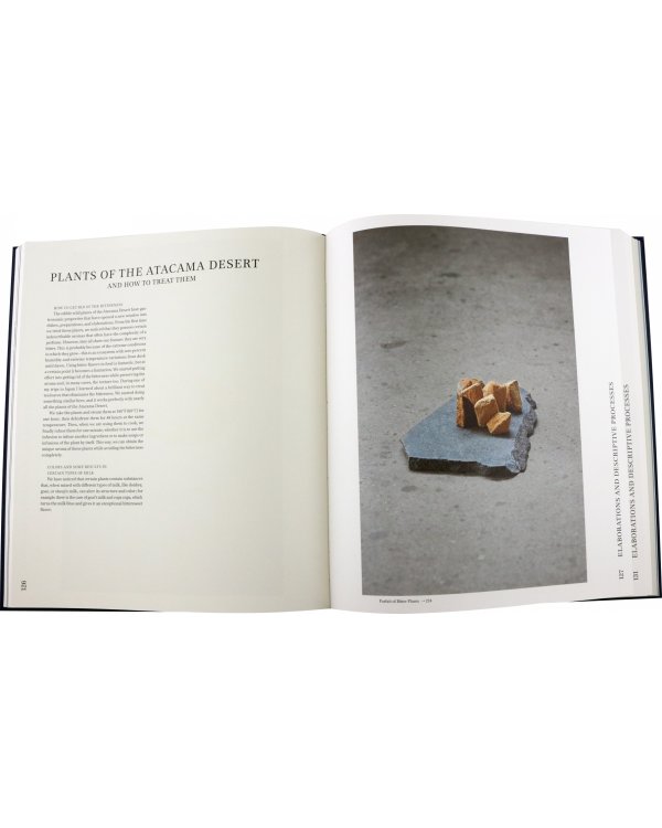 Borago. Coming from the South