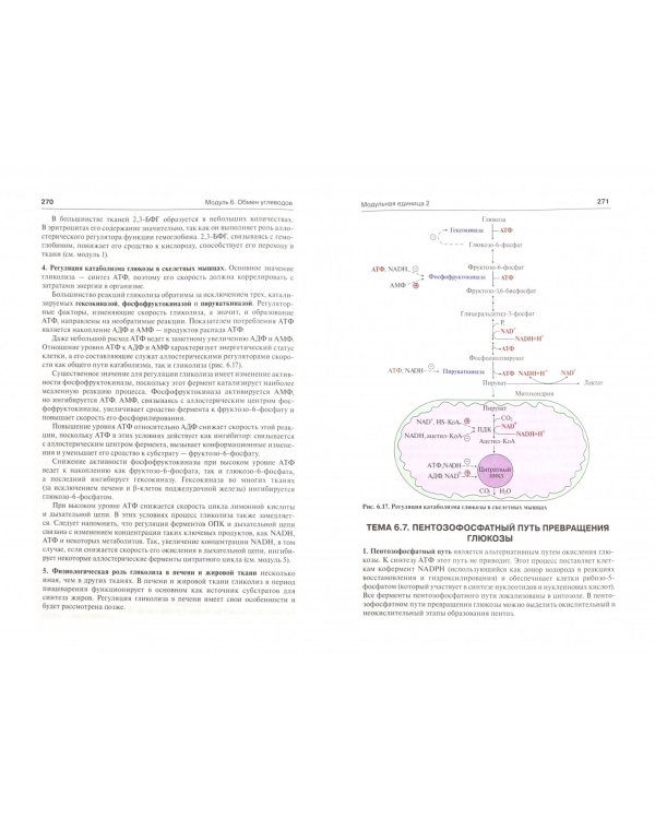 Биологическая химия с упражнениями и задачами. Учебник (+CD)