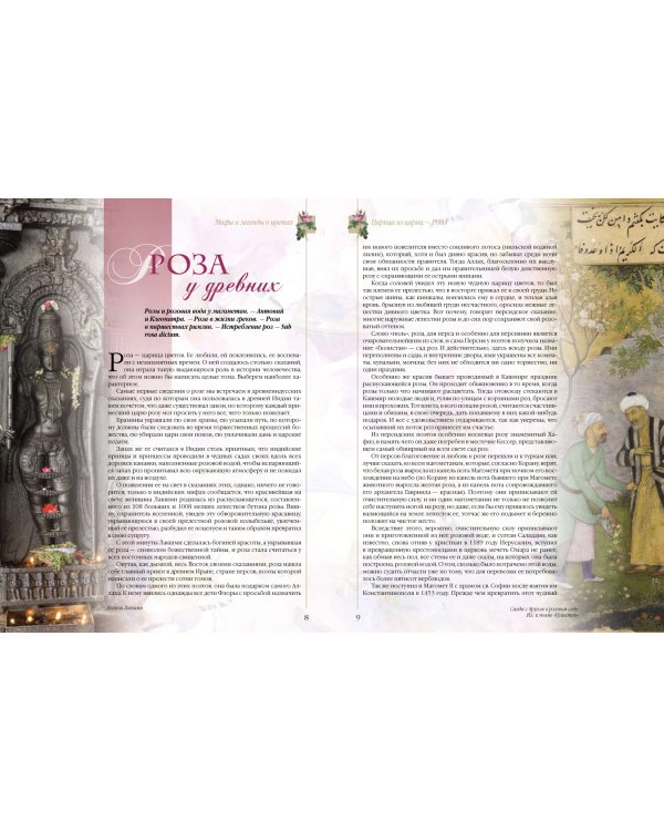 Мифы и легенды о цветах