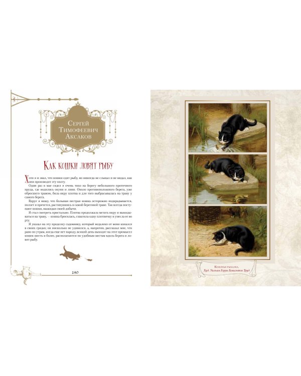 Пушистые и веселые истории о котах и кошках