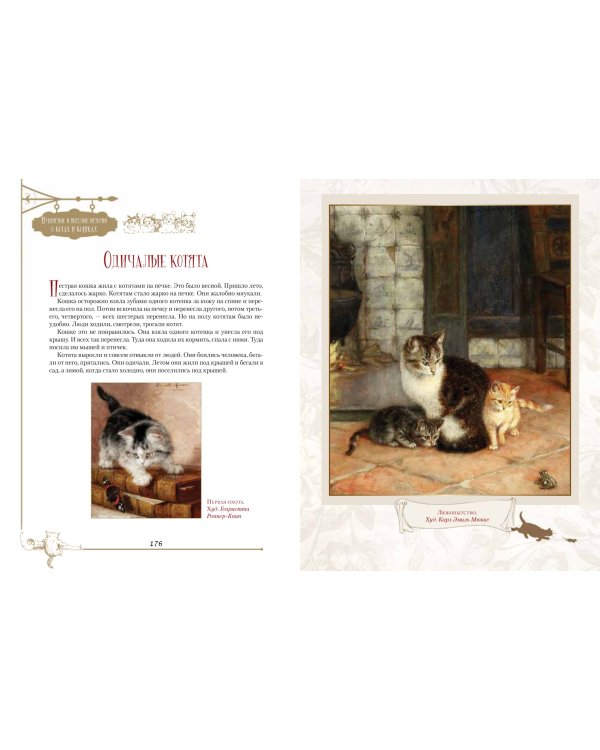Пушистые и веселые истории о котах и кошках