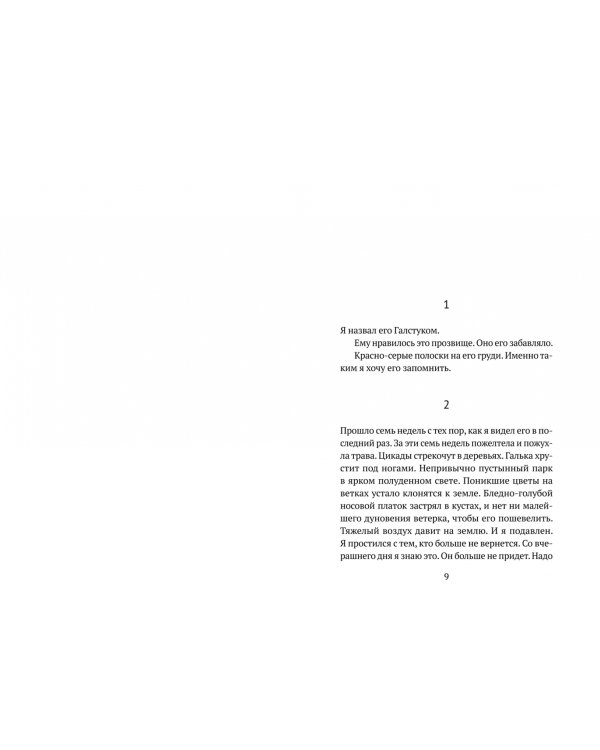 Я назвал его Галстуком