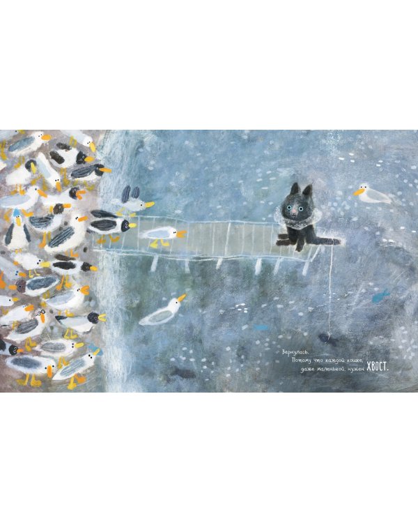 Что нужно маленькой кошке