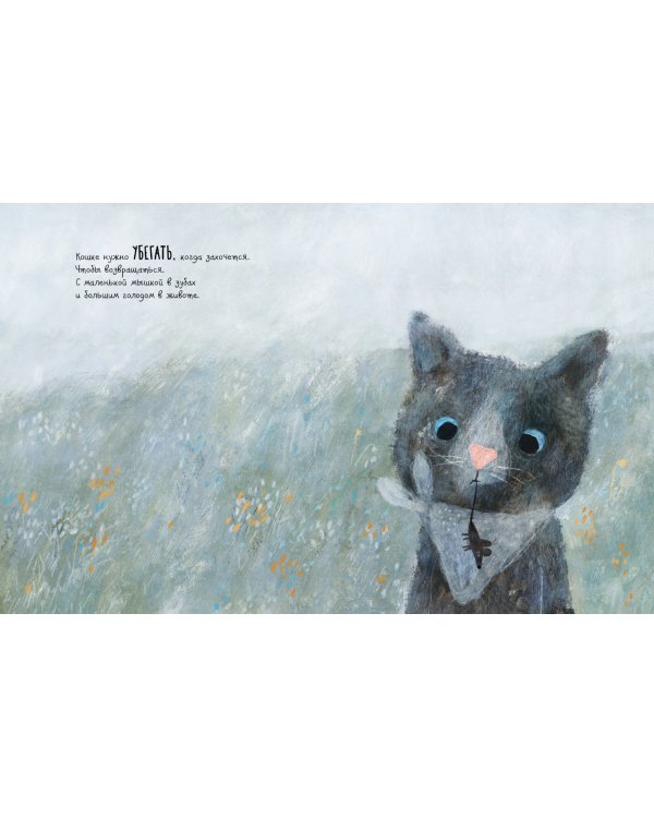 Что нужно маленькой кошке