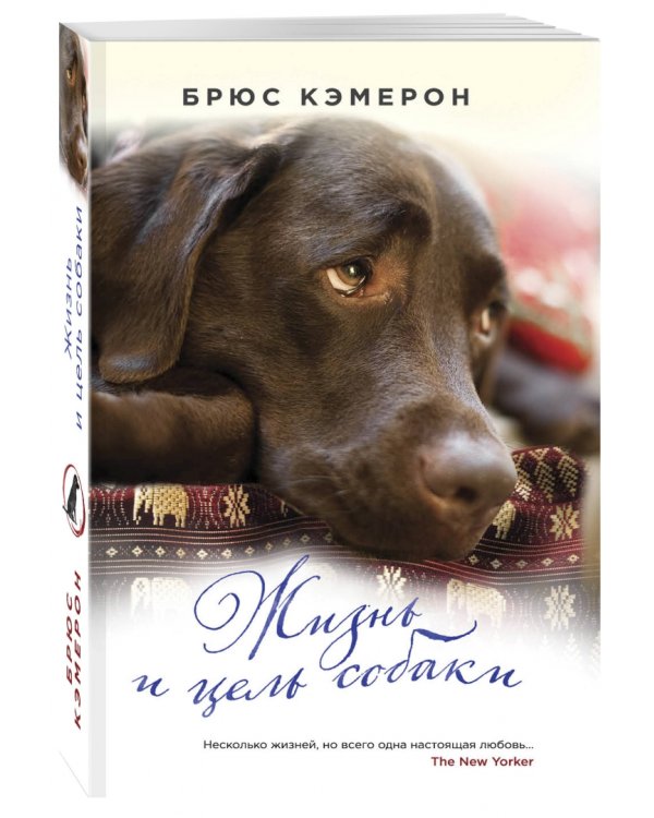 Жизнь и цель собаки
