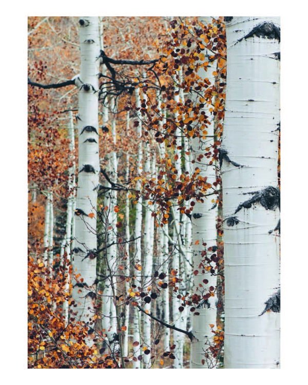 Что такое лагом. Шведские рецепты счастливой жизни