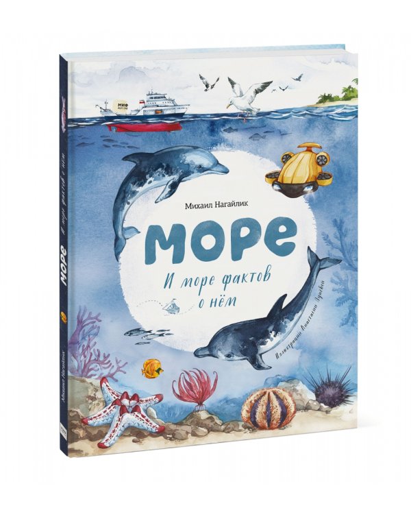 Море. И море фактов о нём