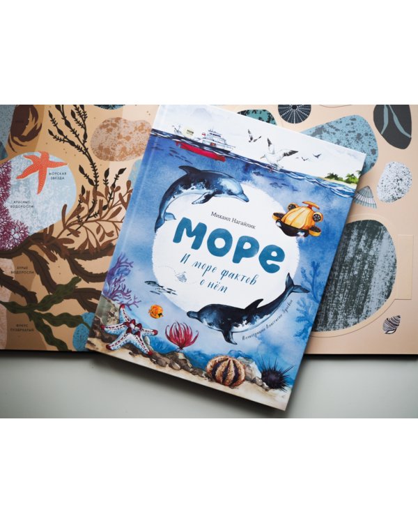 Море. И море фактов о нём