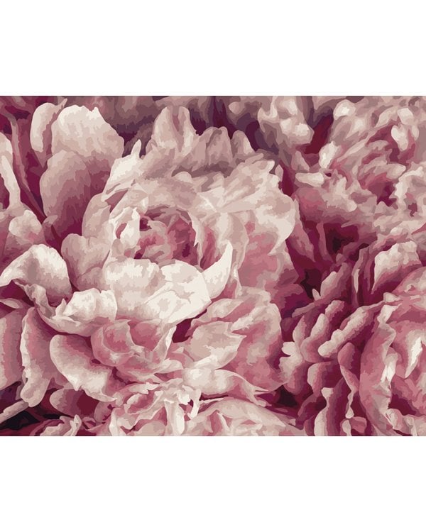 Картина по номерам Нежные пионы