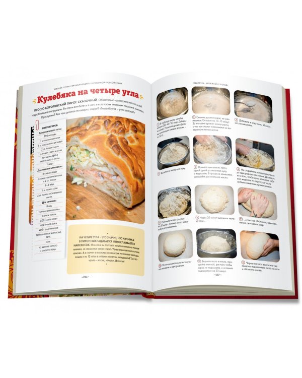 Энциклопедия современной русской кухни