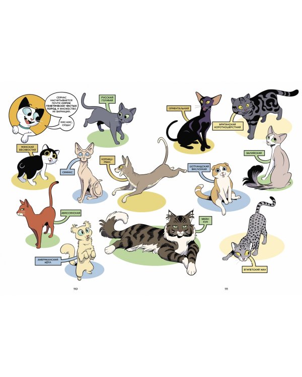 Кошки. Научный комикс