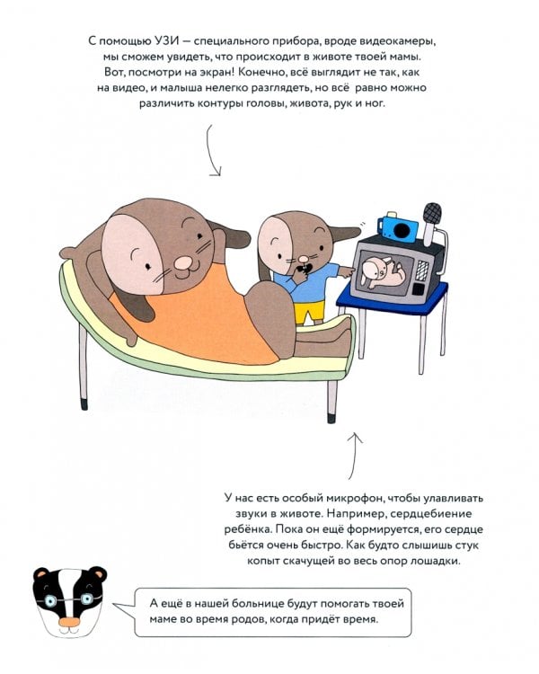 У меня будет братик или сестрёнка