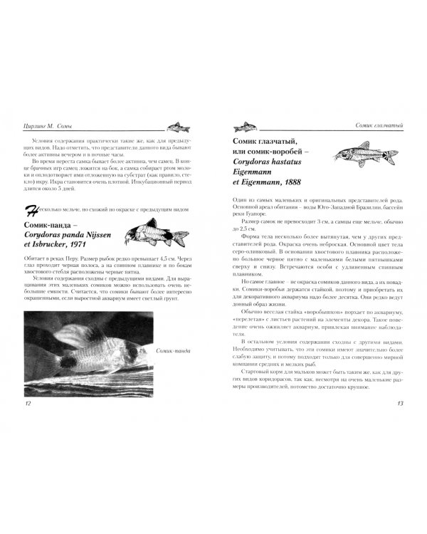 Сомы в аквариумах любителей