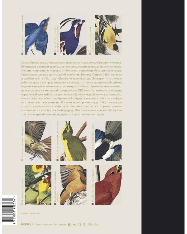 Цвет в природе. Коллекция красок окружающего мира