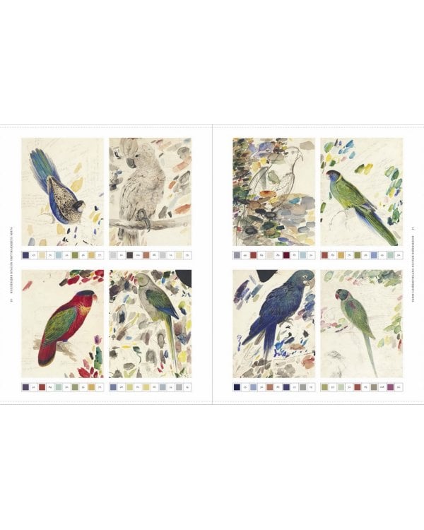 Цвет в природе. Коллекция красок окружающего мира