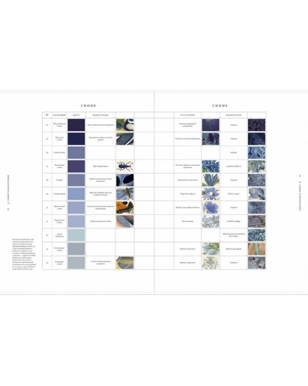 Цвет в природе. Коллекция красок окружающего мира