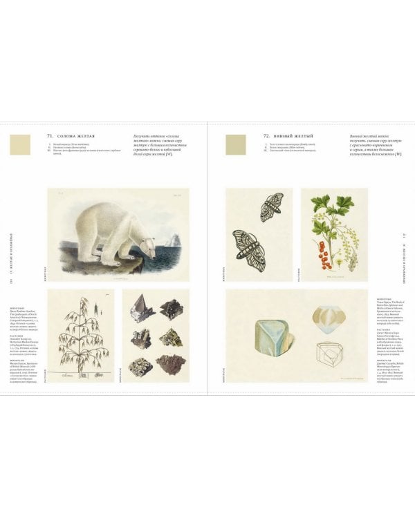 Цвет в природе. Коллекция красок окружающего мира