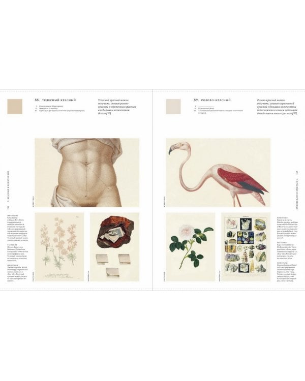 Цвет в природе. Коллекция красок окружающего мира