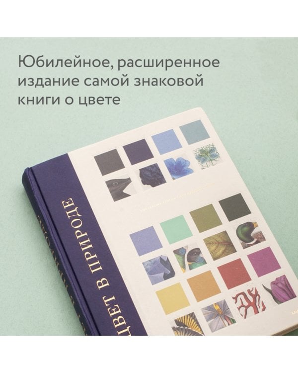 Цвет в природе. Коллекция красок окружающего мира