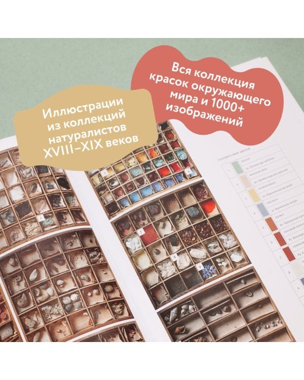 Цвет в природе. Коллекция красок окружающего мира