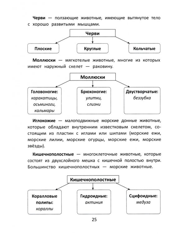 Окружающий мир. С наклейками, ребусами, кроссвордами