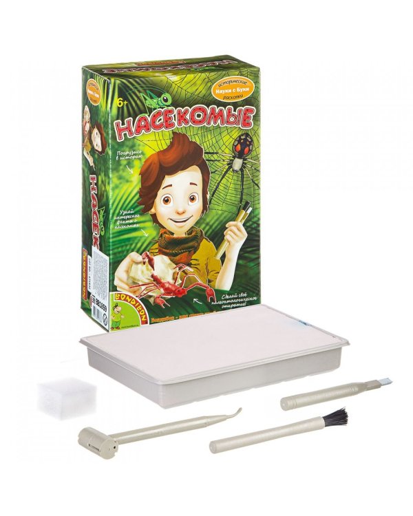 Набор Насекомые. Французские опыты