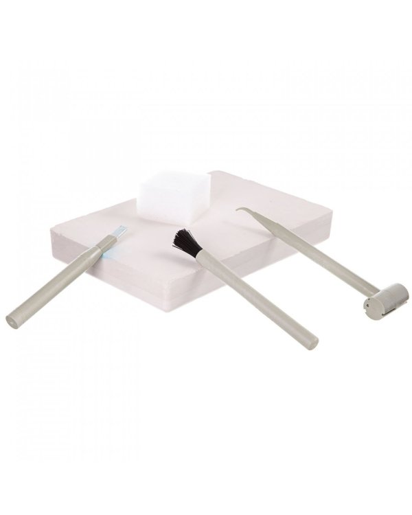 Набор Насекомые. Французские опыты