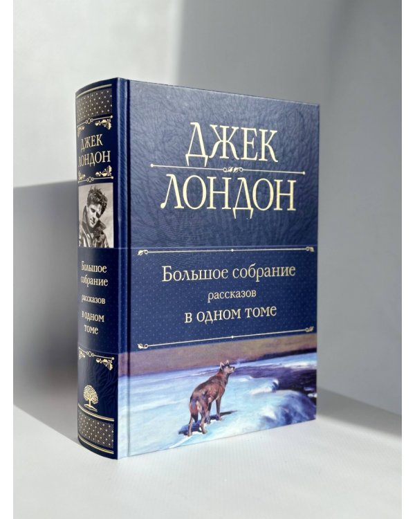 Большое собрание рассказов в одном томе