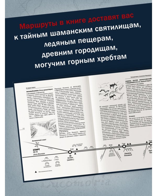 В сердце пармы 