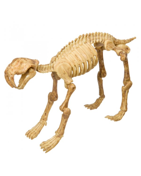 Исторические раскопки Смилодон