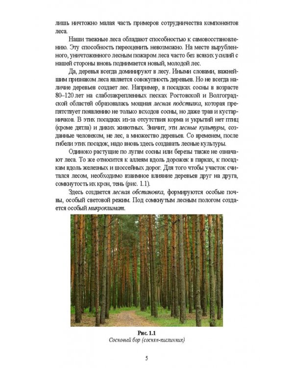 Охрана и защита лесов. Лесные пожары. Учебное пособие