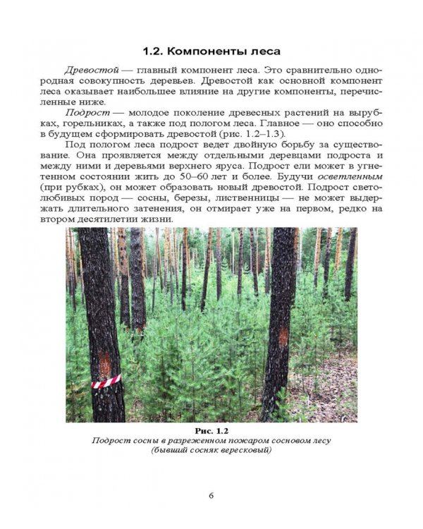 Охрана и защита лесов. Лесные пожары. Учебное пособие