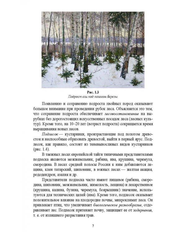 Охрана и защита лесов. Лесные пожары. Учебное пособие