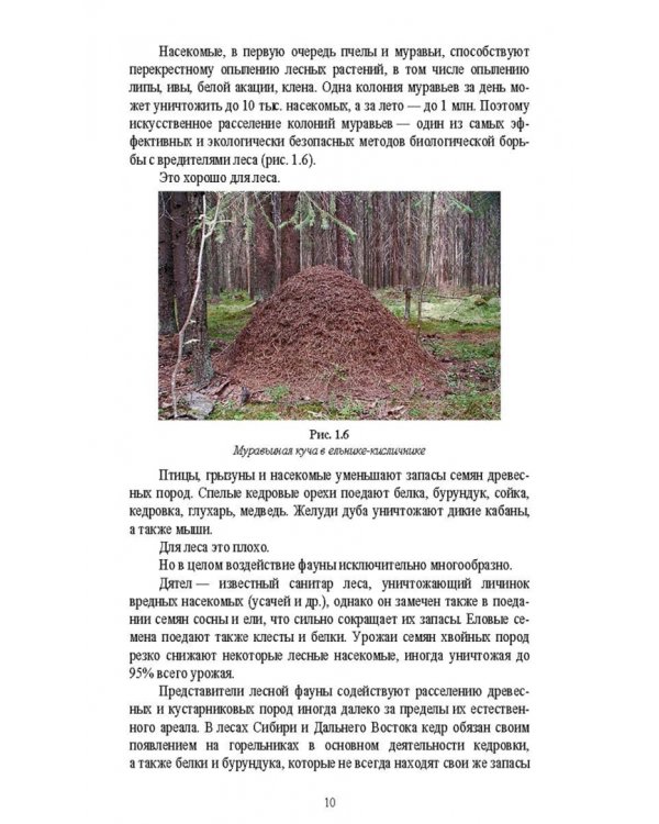 Охрана и защита лесов. Лесные пожары. Учебное пособие