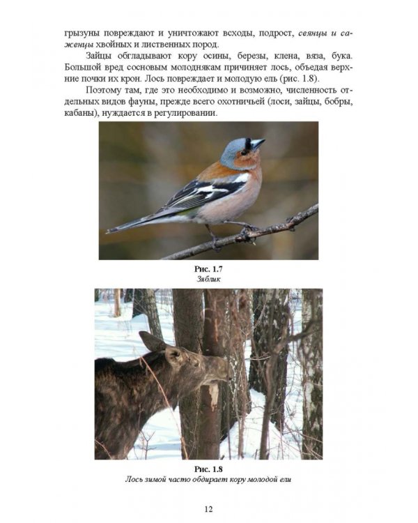 Охрана и защита лесов. Лесные пожары. Учебное пособие