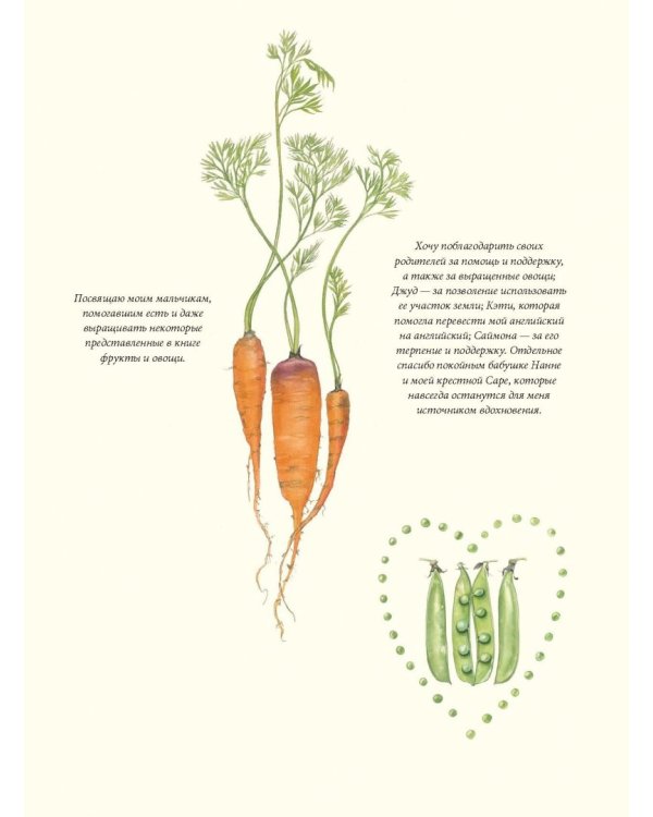 Портреты овощей и фруктов. Практическое руководство по рисованию акварелью