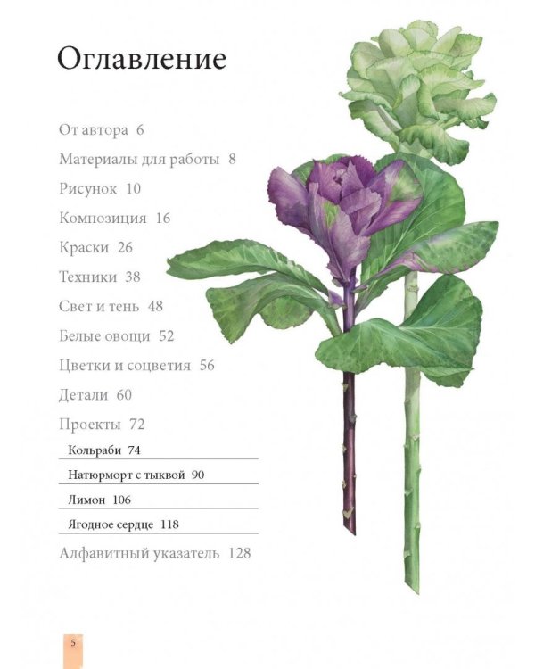 Портреты овощей и фруктов. Практическое руководство по рисованию акварелью