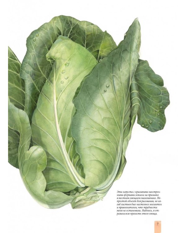 Портреты овощей и фруктов. Практическое руководство по рисованию акварелью