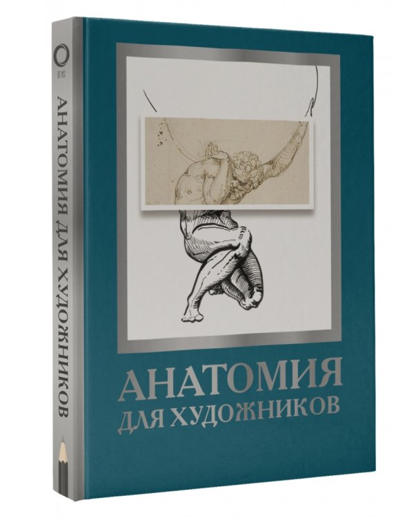 Анатомия для художников