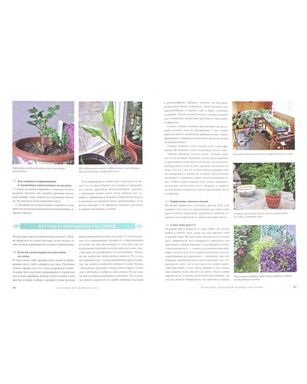 Сам себе садовник